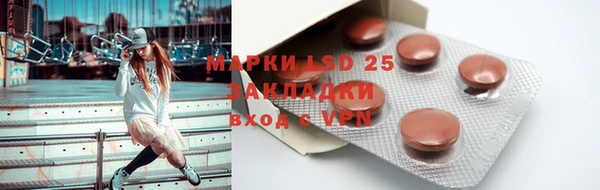 дживик Аркадак