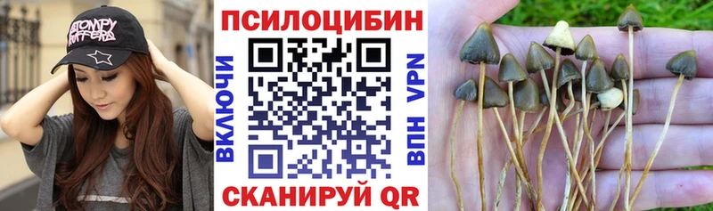 Псилоцибиновые грибы Magic Shrooms  Уварово 